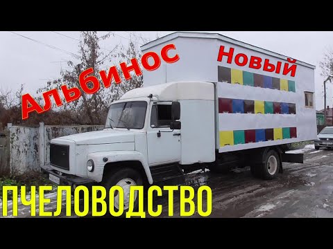 Видео: Пчеловодство / Новый пчелопавильон 49 семей / Альбинос.