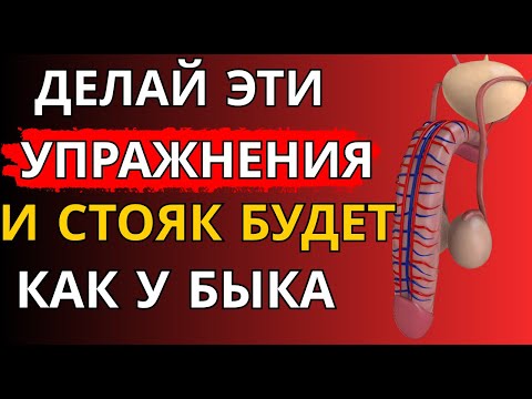 Видео: Уролог раскрывает 5 упражнений, которые вернут твёрдую эрекцию после 60