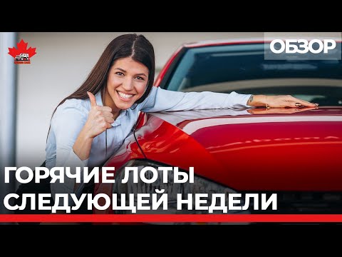Видео: Copart, Impactauto, дилеры - обзор  лотов  на неделю с 25.01.2021. Авто из Канады. Canada Cars.