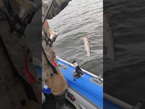 Видео: Первый выход на воду на моем Ривер Бот 430(2)