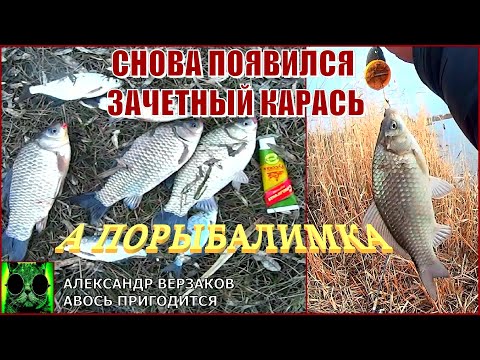 Видео: А порыбалимка 4/21г. Снова появился зачетный карась.