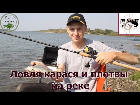 Видео: Ловля карася и плотвы на реке – рыбалка на  Sportex Exclusive Lite Feeder LF 3604!