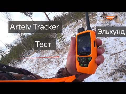 Видео: Artelv GPS Tracker ТЕСТ с норвежским эльхундом