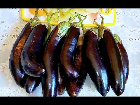 Видео: Սմբուկը ձմռանը պահելու ամենապարզ տարբերակը/Самый простой способ хранить баклажаны на зиму