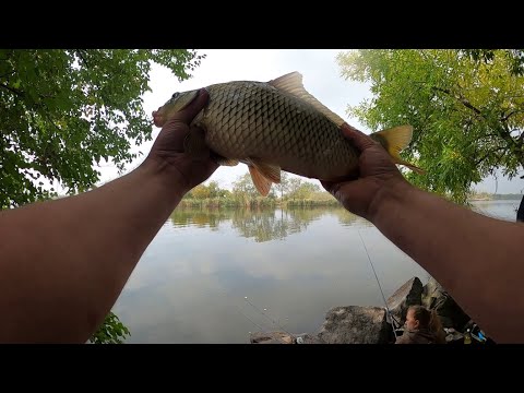 Видео: Ловля на фидер в октябре на реке Самара. Фидерная рыбалка осенью. Ловля карася,подлещика и карпа.