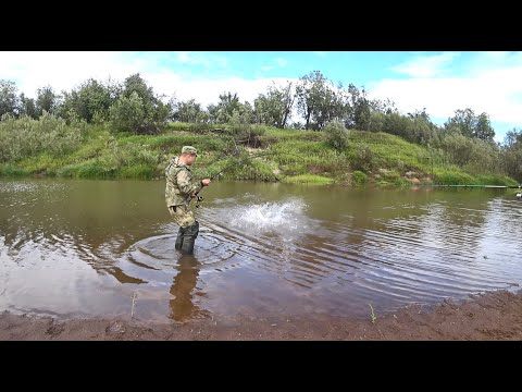 Видео: РУЧЕЙ КИПИТ ОТ РЫБЫ. Начался жор щуки, рыбалка мечты, которая не отпускает!!!