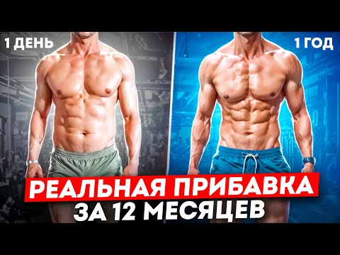 Видео: Сколько Сухой Массы можно набрать за Год