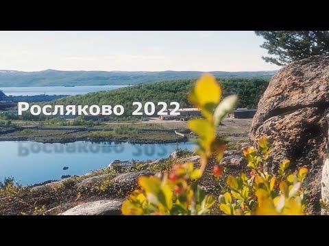 Видео: Росляково 2022