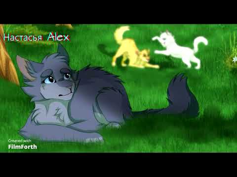 Видео: Коты воители клип Синяя Звезда Холодок