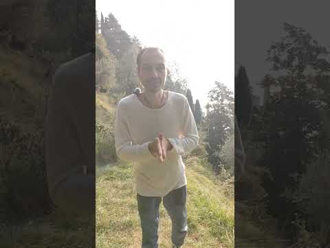Видео: Практика (278) #гимнастика #цигун