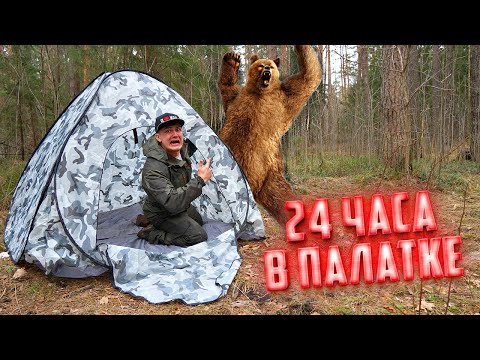 Видео: 24 часа в палатке в лесу. На нас напал медведь!