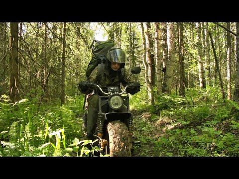Видео: За хариусом на таёжную речку #287