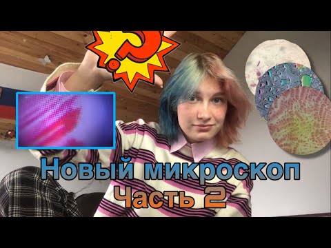 Видео: Микроскоп в домашних условиях | часть 2