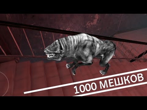 Видео: 1000 мешков! Дружок в больнице на бесконечном режиме. Eyes the horror game.