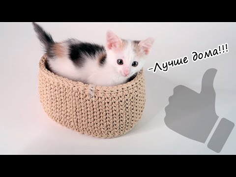 Видео: Мастер-класс. Корзинка с деревянным донышком крючком.