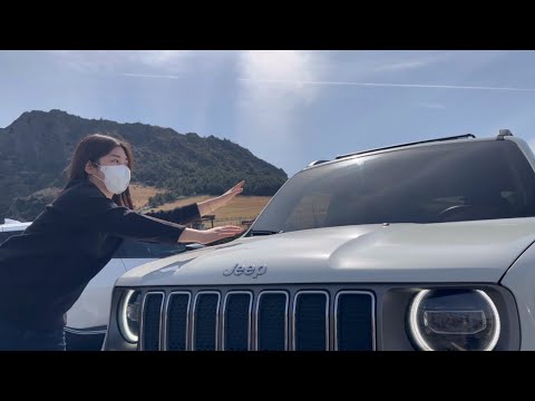Видео: АСМР В автомобиле 🚙⚪️ 100+ случайных нажатий , царапин триггеров к вам 💆