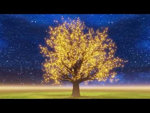 Видео: Вътрешното дете - изцеляване . Медитативно - психологическа практика .