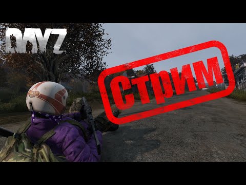 Видео: ВЫЖИВАЕМ В DAYZ / В ПОИСКАХ ЛУТА