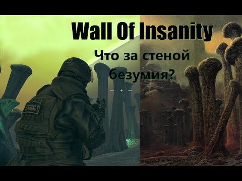 Видео: Wall Of Insanity - За стеной безумия