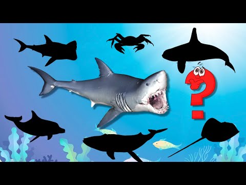 Видео: Викторина про обитателей морей и океанов 🐟 Морские животные 🐬 Подводный мир 🐠 Развивающие мультики