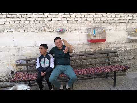 Видео: 10 октября 2024 г.