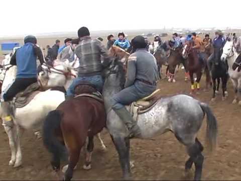 Видео: ШАРДАРА КОКПАР ТИМУР 2017 [ЧАСТЬ 1]