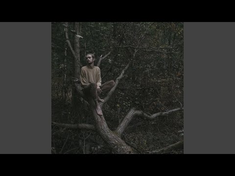 Видео: плафон