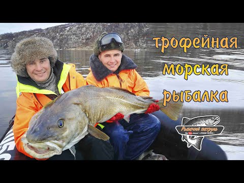 Видео: ТРОФЕЙНАЯ МОРСКАЯ РЫБАЛКА / БАРЕНЦЕВО МОРЕ / TROPHY FISHING SALTWATER / BARENTS SEA