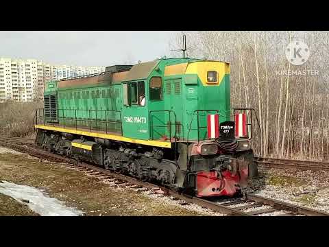Видео: Сборник ТЭМ2 УМ473 за 06.04.25