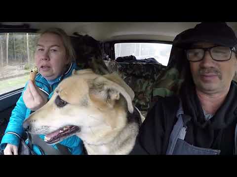 Видео: Едем на север искать таёжные речки.