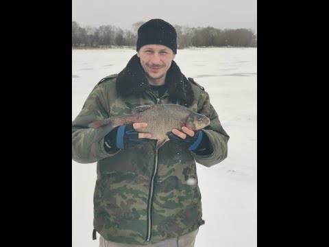 Видео: Рузское водохранилище. Куровский залив . 5 - 6 февраля 2020.