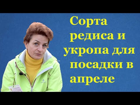 Видео: Выбираем сорта редиса для посева в апреле