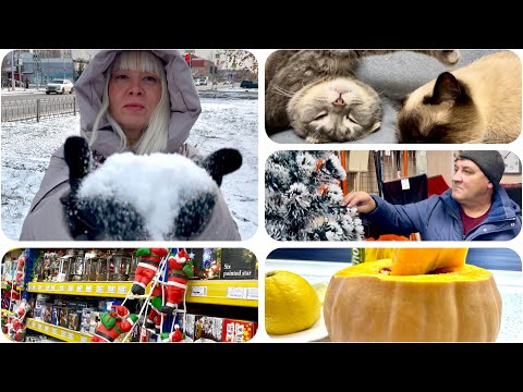 Видео: Влог/ 2 блюда с ТЫКВОЙ. Шоппинг с Мишей. Наши покупки 