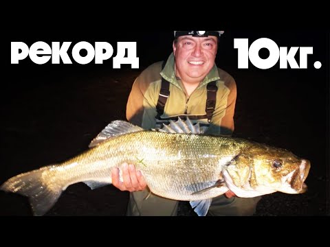 Видео: СПИНИНГ РИБОЛОВ през 70-те години?!? ЛЕГЕНДАТА в РИБОЛОВА  Данчо Савов FISHCAST