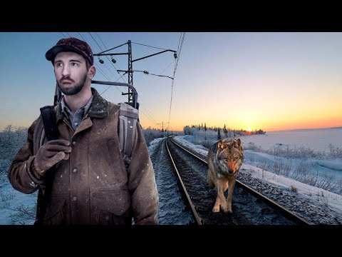 Видео: ХИЩНИК ИДЁТ ЗА ТОБОЙ