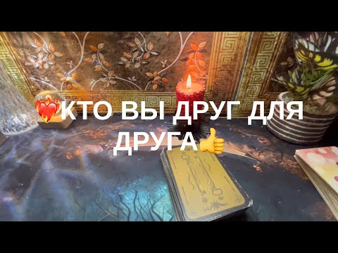Видео: 12 ноября 2025 г.