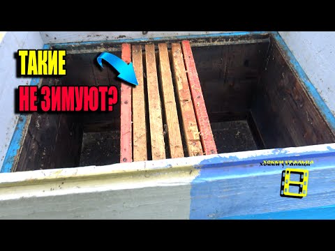 Видео: ЧТО ДЕЛАТЬ СО СЛАБЫМИ СЕМЬЯМИ ПЧЕЛ? ЗИМОВКА СЛАБЫХ СЕМЕЙ. ЛЮБИТЕЛЬСКОЕ ПЧЕЛОВОДСТВО 23-40