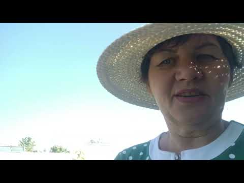 Видео: Будний летний день.