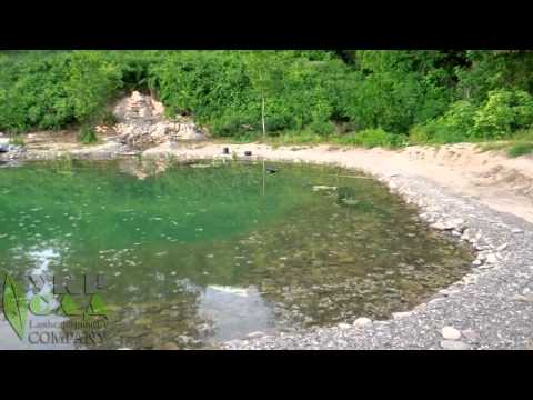 Видео: Обзор плавательного пруда УкрСад