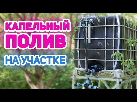 Видео: Как правильно сделать капельный полив. How to do drip irrigation.