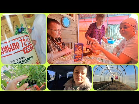 Видео: Не МОГУ МОЛЧАТЬ-надоело,СКОЛЬКО МОЖНО !!!рассада СДОХЛА-ЧТО Делать???