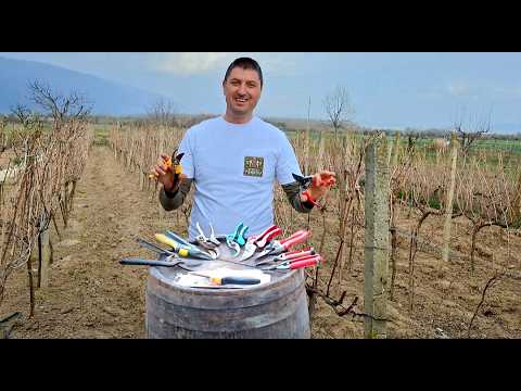 Видео: Какие секаторы самые лучшие? Личный опыт, впечатления и демонстрация. (субтитры: RU)