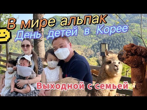 Видео: День детей в Корее/в мире альпак/семейные выходные в Корее/Южная Корея VLOG