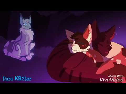 Видео: [Warriors Cats] | Коты Воители | Ласточка | Дыши