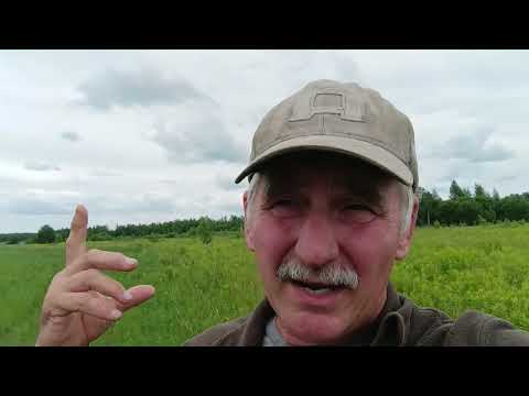 Видео: Повышение арендной платы за землю