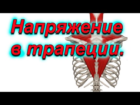 Видео: Почему напряжена трапециевидная мышца.
