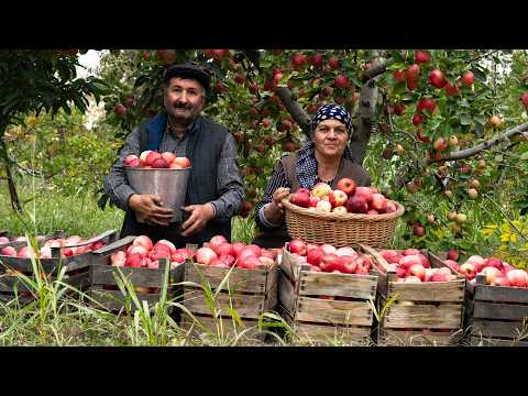 Видео: Яблочное павидло | Традиционный домашний рецепт