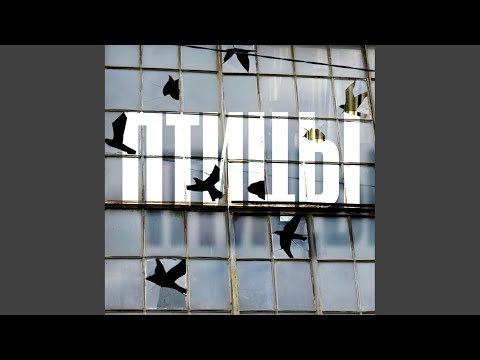 Видео: Птицы (Original Mix)