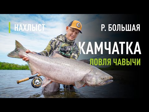 Видео: Ловля ЧАВЫЧИ на КАМЧАТКЕ. Рабочая снасть и как поймать рыбу с ПЕРВОГО заброса.