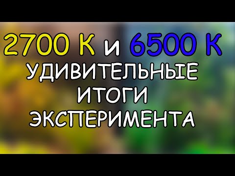 Видео: 6500 К или 2700 К. УДИВИТЕЛЬНЫЕ ИТОГИ ЭКСПЕРИМЕНТА